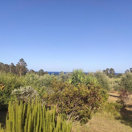 Sa Teria Village Tertenia Bagian luar foto