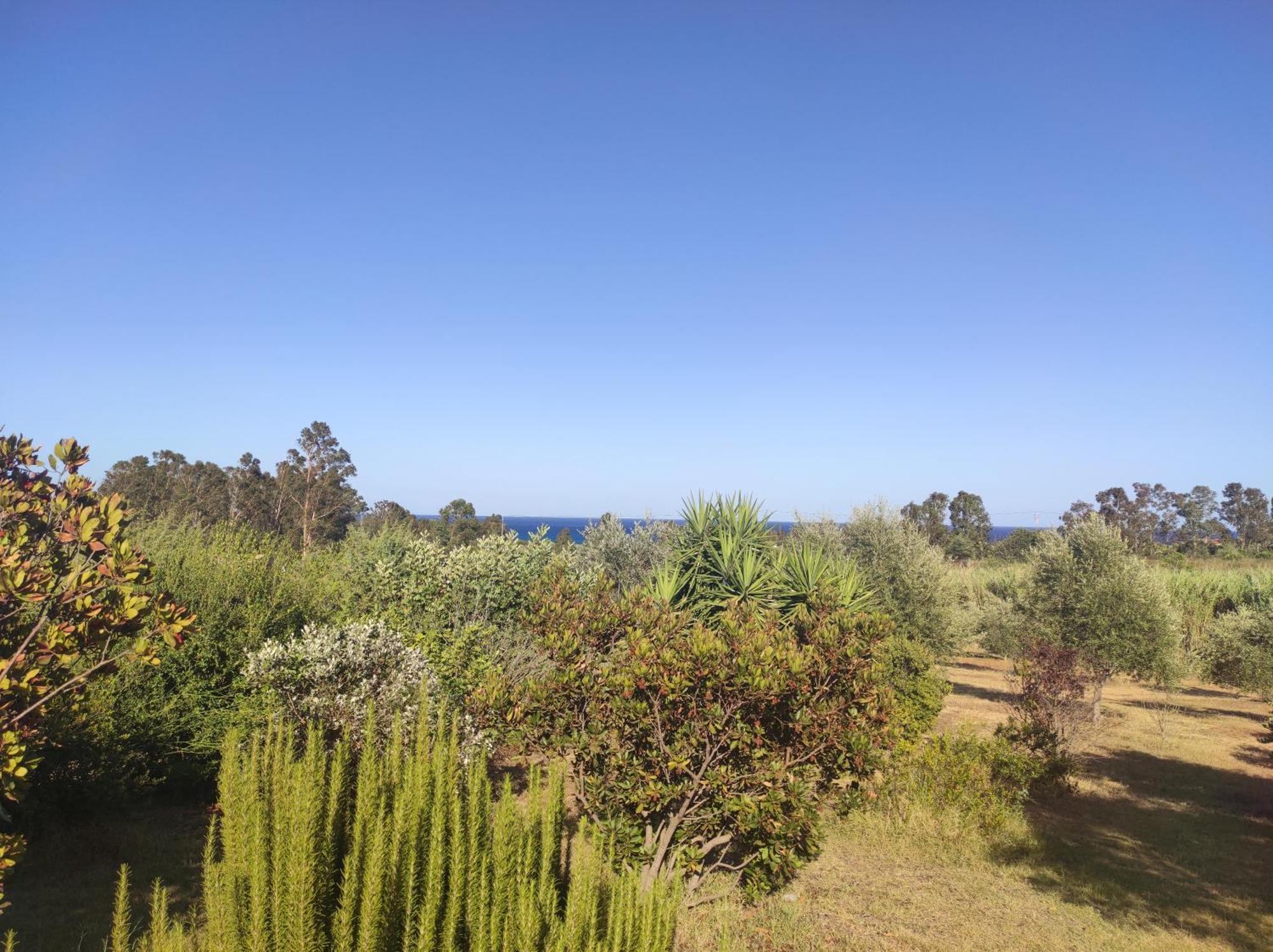 Sa Teria Village Tertenia Bagian luar foto