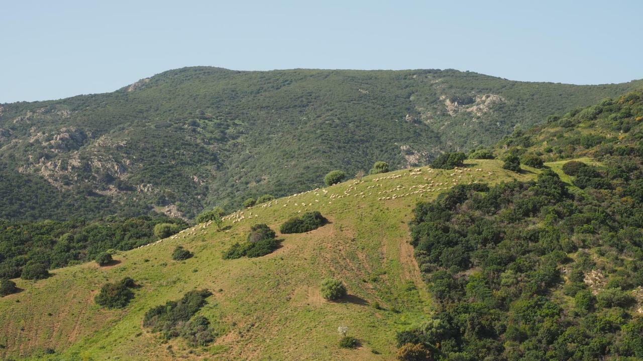 Sa Teria Village Tertenia Bagian luar foto